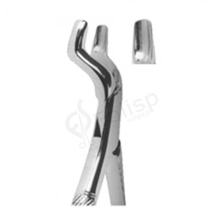 Extracting Forceps American