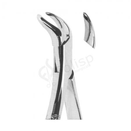 Extracting Forceps American