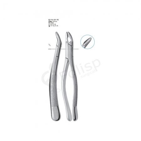 Extracting Forceps American pattern