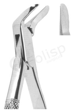 Extracting Forceps American pattern 